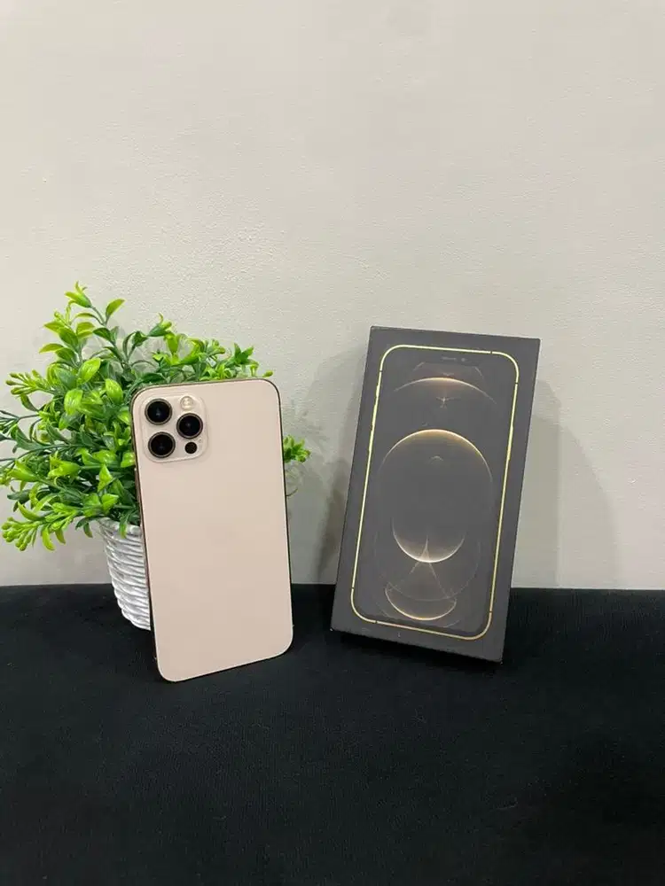 IPhone 12 Pro 256GB Gold mulus Fullset BH 100% Sinyal All Operator