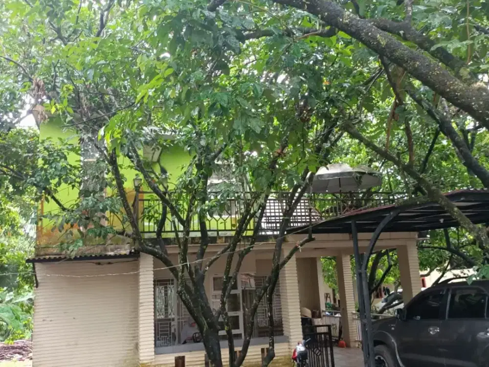 Di Jual Rumah dan Tanah Kebun