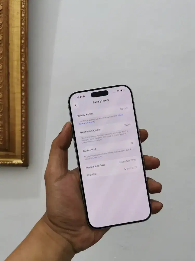 Iphone 17 Pro Max 256gb iBox