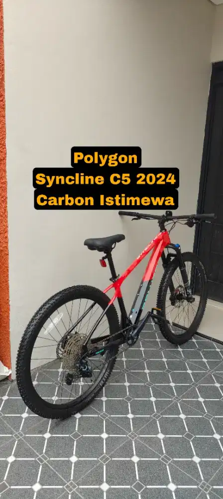 POLYGON SYNCLINE C5 2024 MANTAP