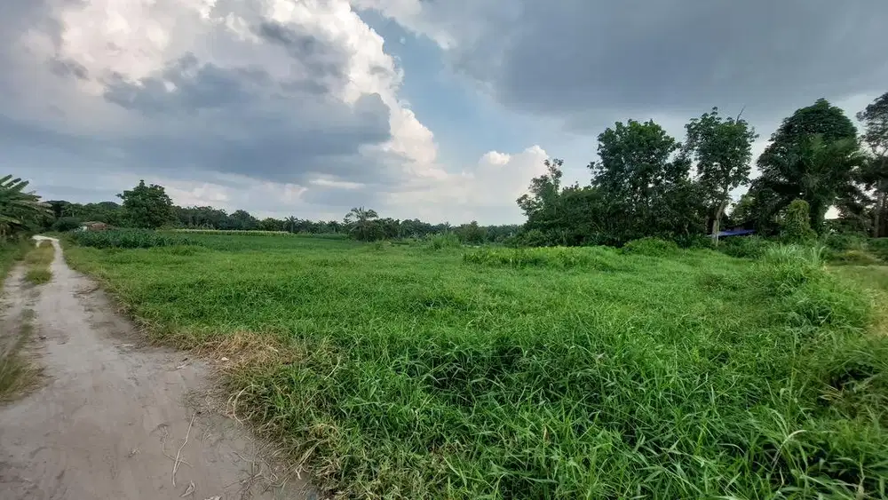 DIJUAL TANAH KAVLING STRATEGIS DI PEKANBARU