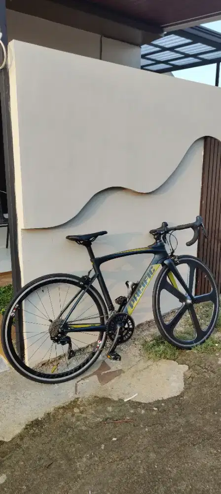 PACIFIC PRIMUM 5.3 CARBON