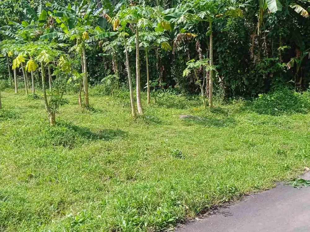 Dijual Tanah lokasi di Sraten dekat Pasar