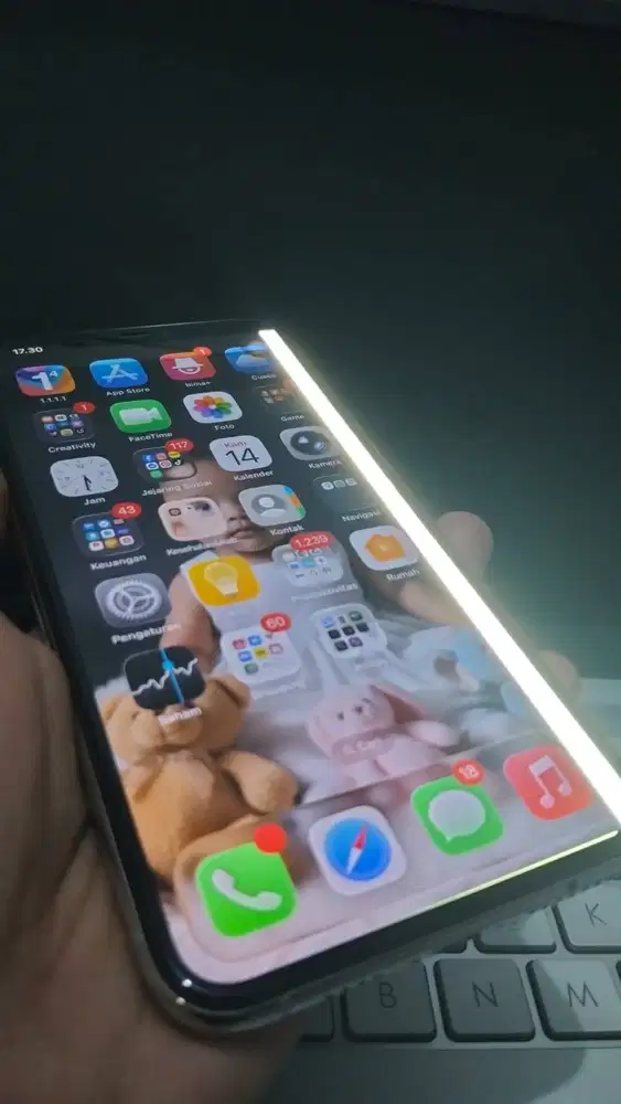 iPhone 11 Pro Max 256 GB / Silver