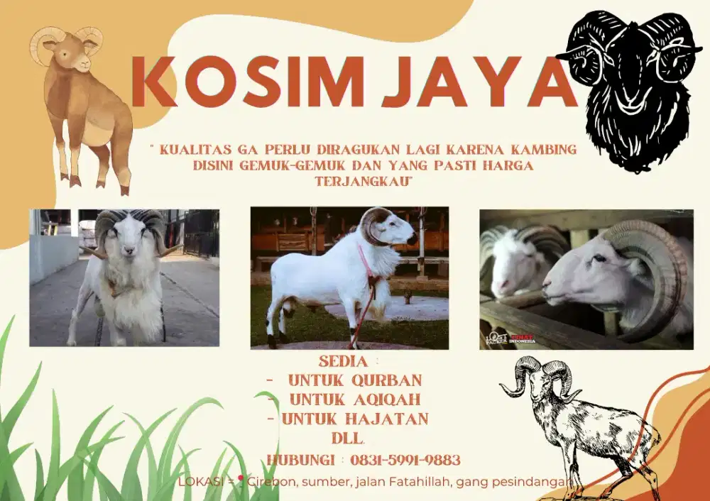 Kambing sehat, segar dan terjangkau