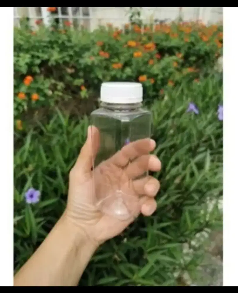 Botol Kale 250 ml tutup putih
