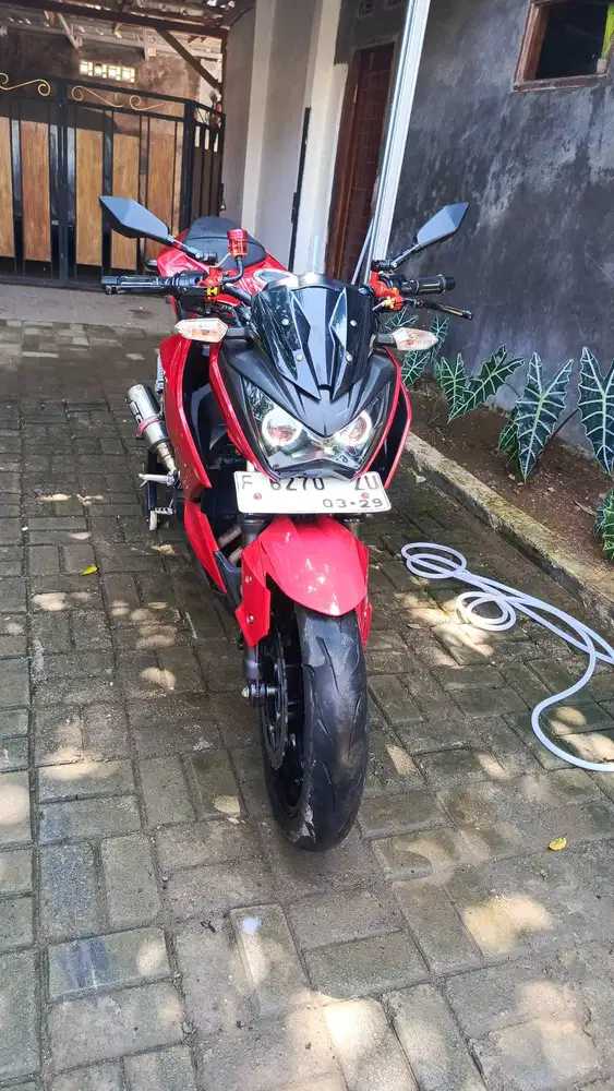 Kawasaki Z 250 F1 2013
