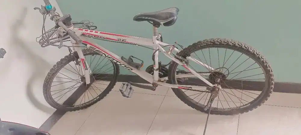 Sepeda olahraga