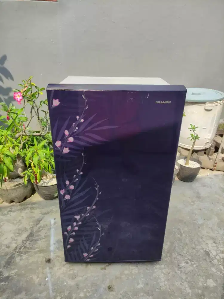 Kulkas 1 pintu merk SHARP