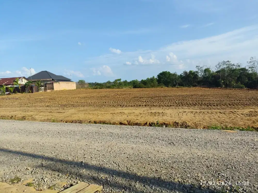 Di Jual Tanah Kavling Kota Jambi Hanya 2 Menit Ke SMA Negeri 9 Muaro Jambi