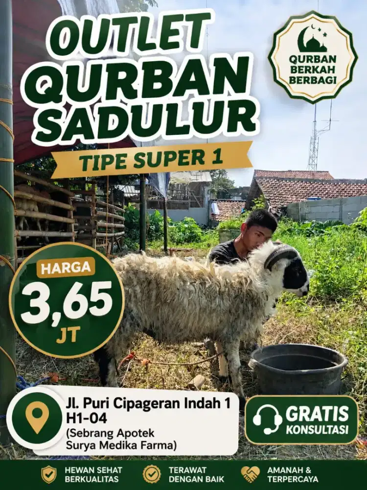 Hewan qurban domba cimahi
