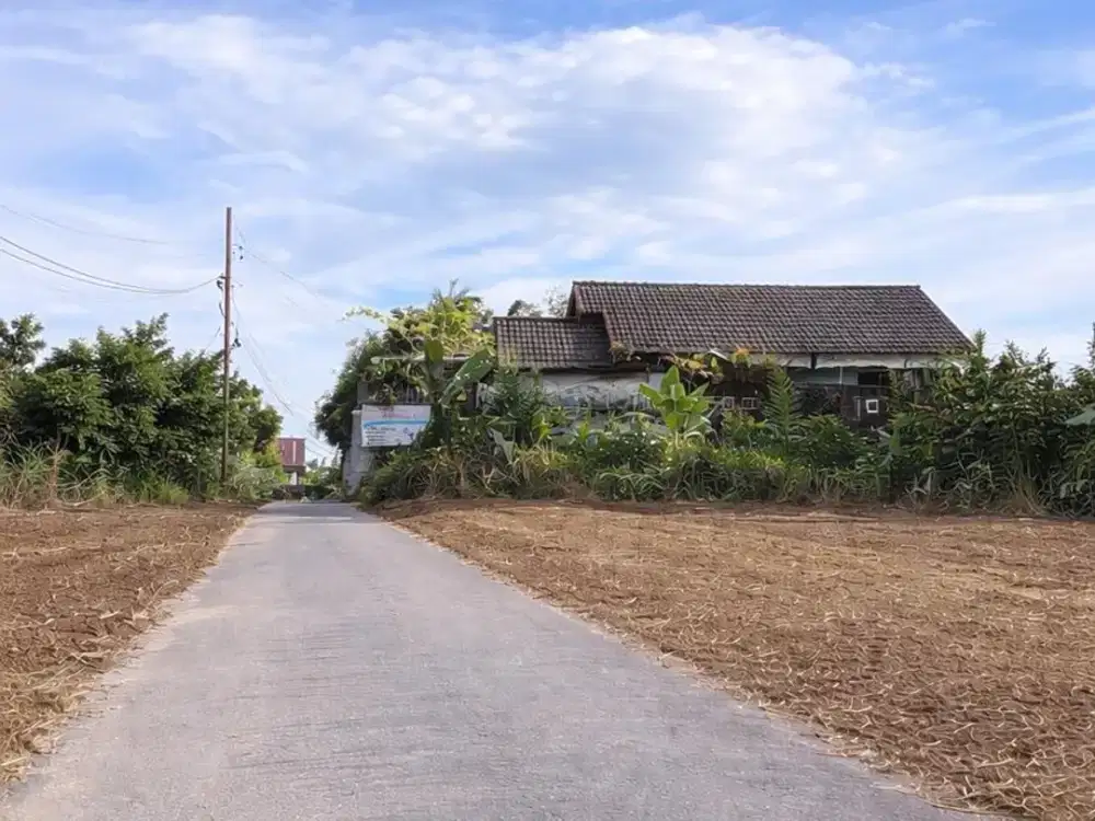 Tanah Murah Tengah Kota Jambi Arizona