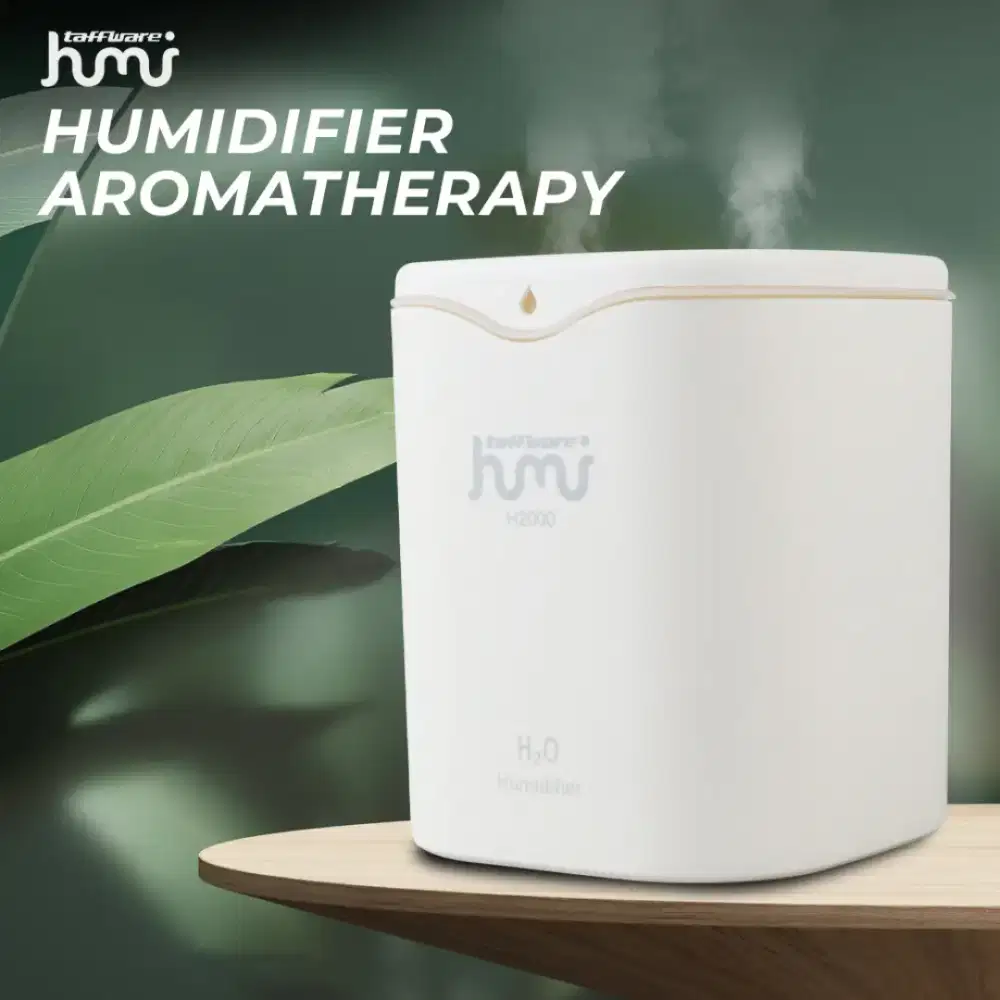 Taffware Humidifier Ultrasonic Aroma Diffuser Double Spray 2L