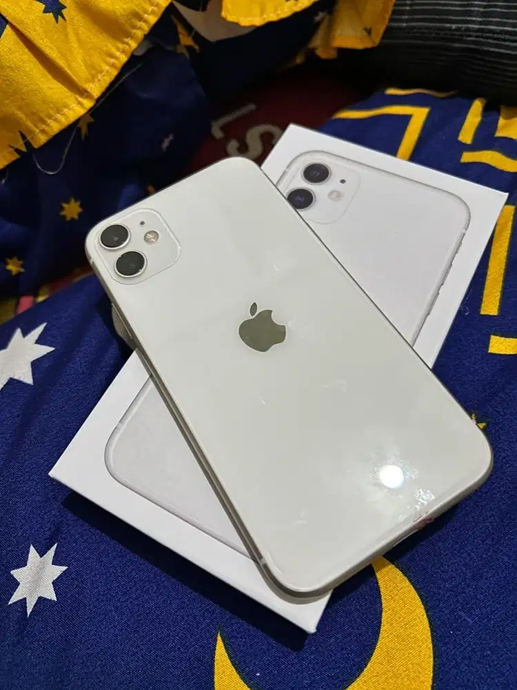 iPhone 11 Wifi only
