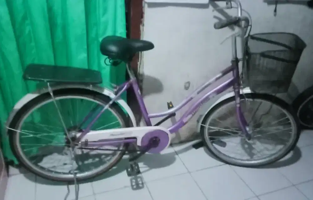 sepeda mini 24 Beauty