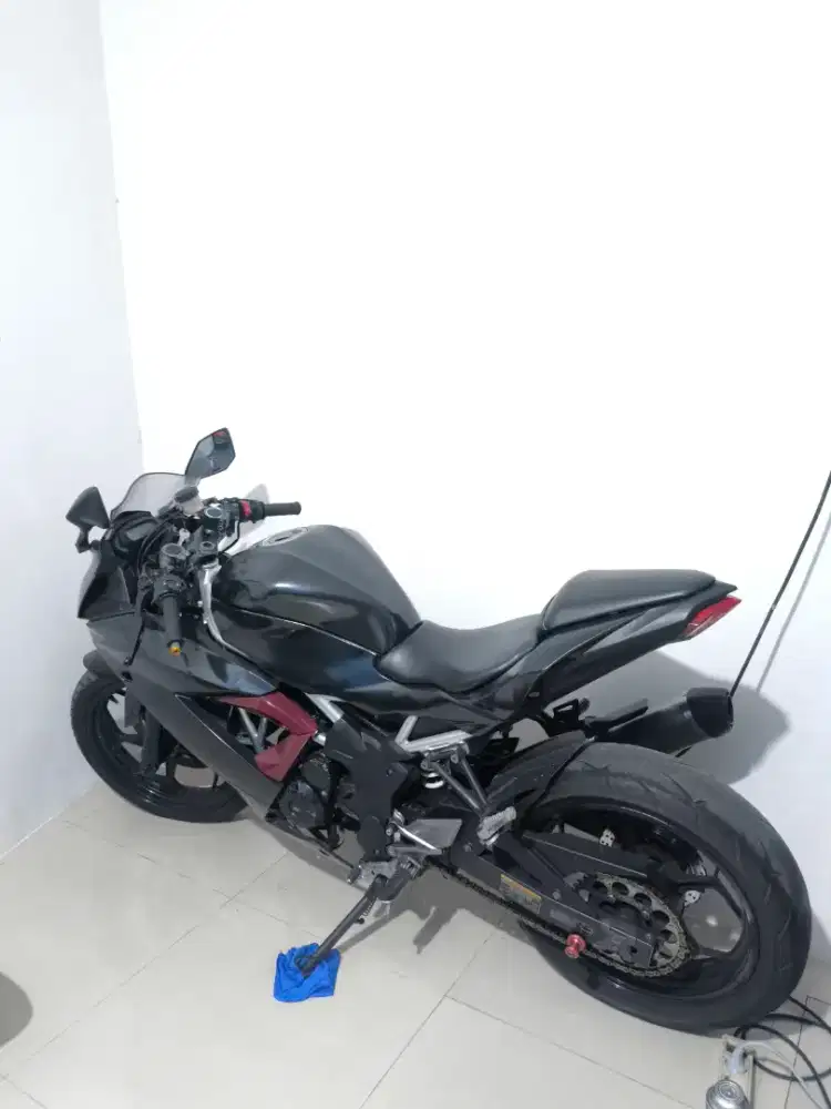 Kawasaki Ninja 250 SL Mono