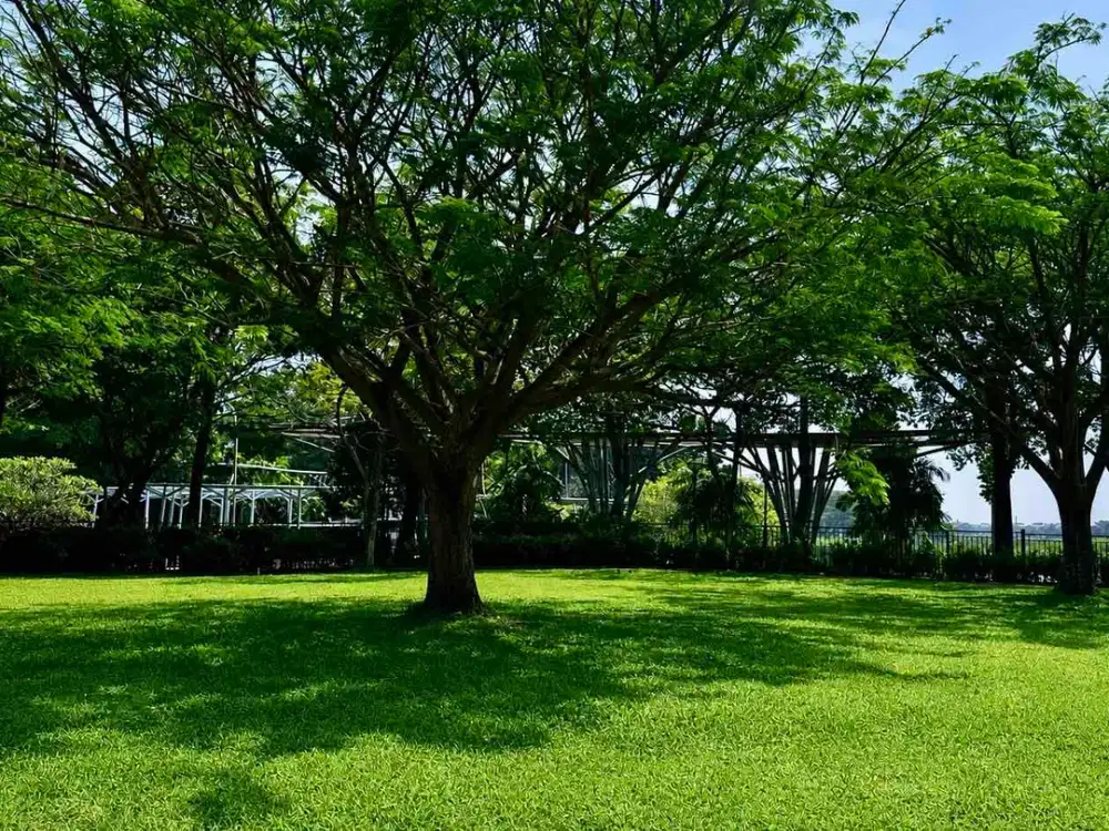 DiJual Kavling Besar DE PARK CAJUPUTI BSD – Siap Bangun Rumah Mewah