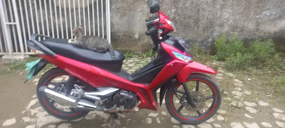 Jual motor Seken