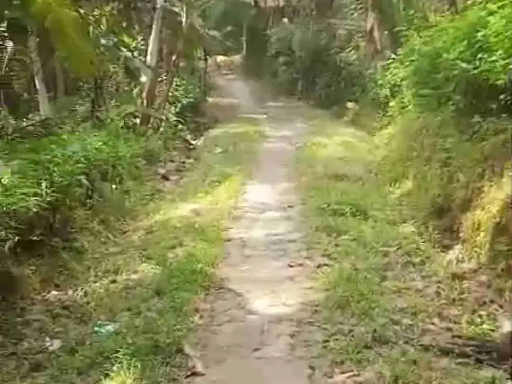 Tanah Murah di kokap Kulon Progo