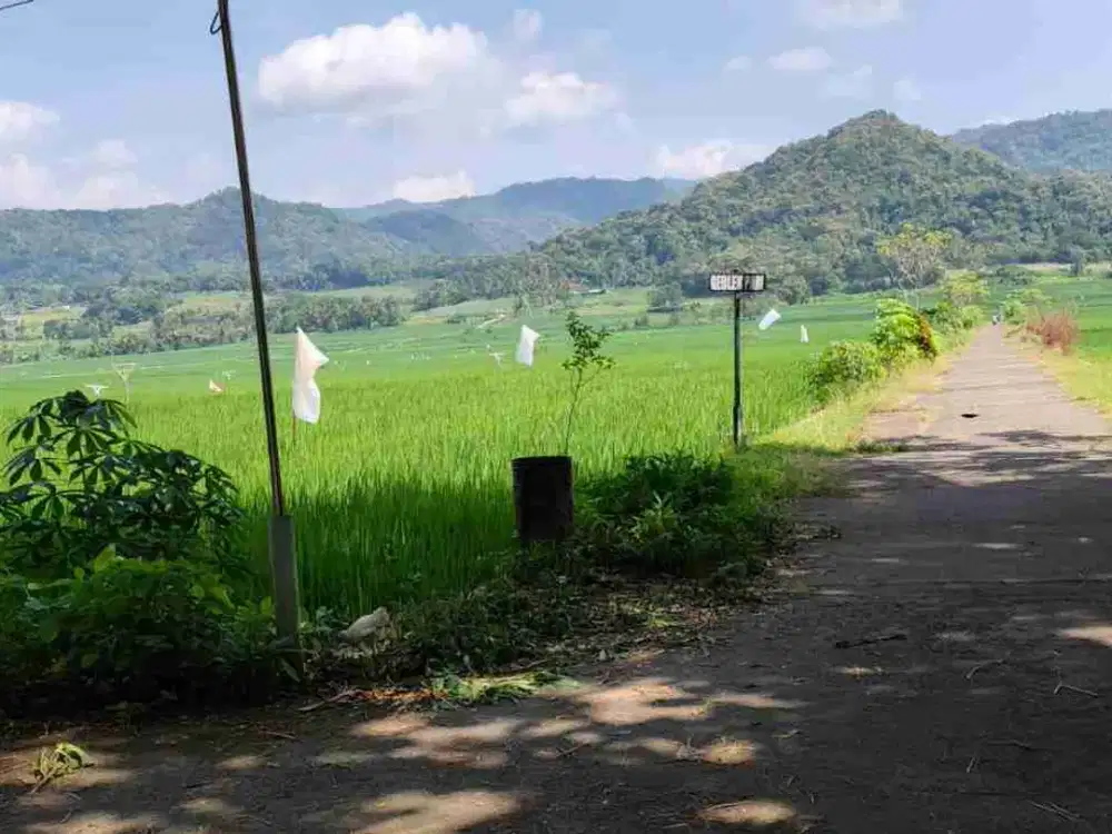 Tanah Dijual View Sawah dan pegunungan Menoreh