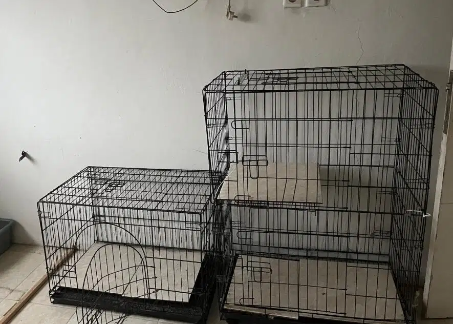 Kandang Kucing 350 ribu