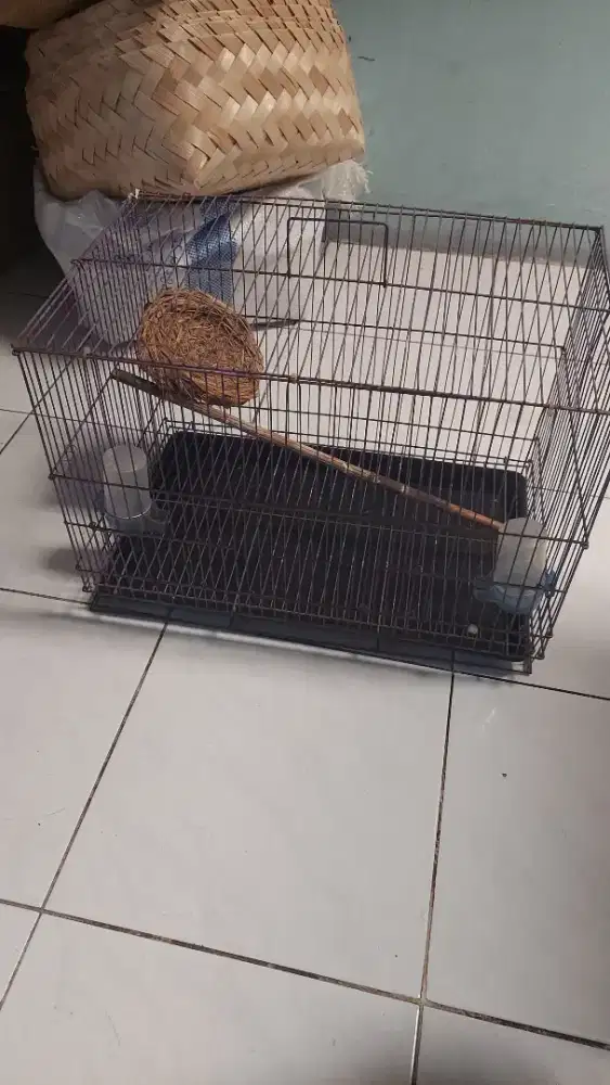 kandang ternak burung