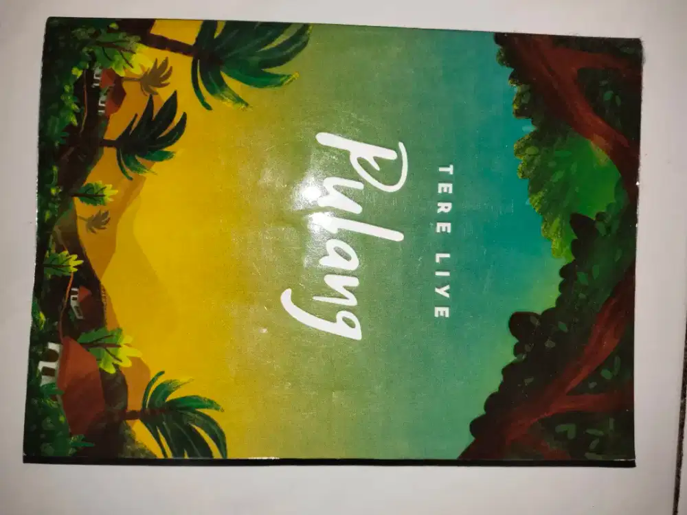 Novel Tere Liye Pulang