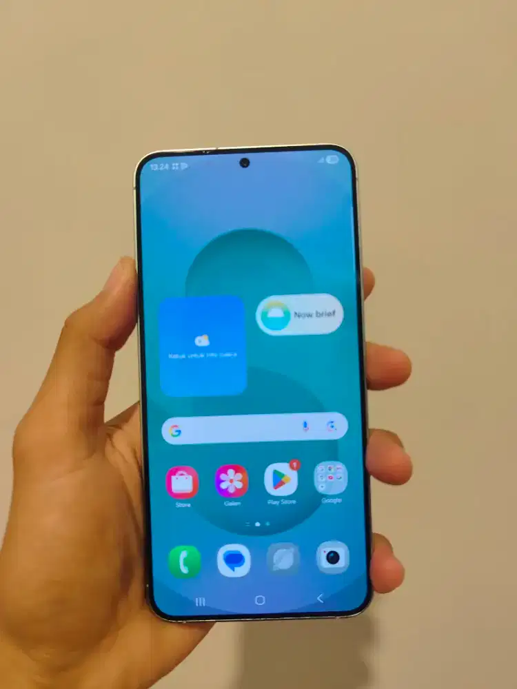 Samsung s25 plus 12/512 (sein)