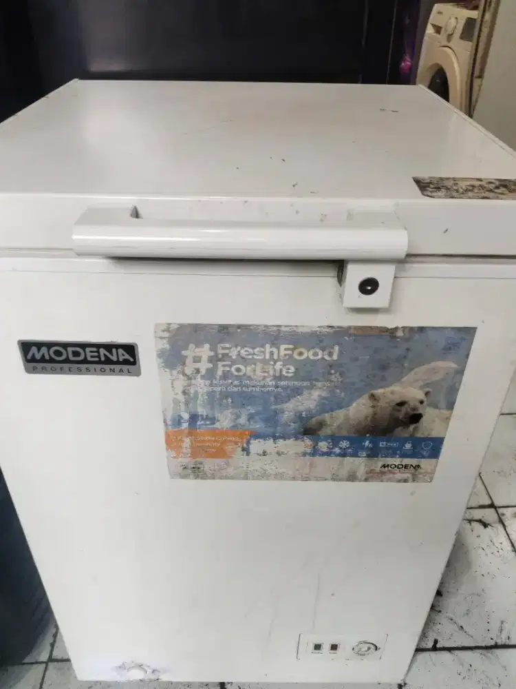 Freserbox modena 100liter normal beku