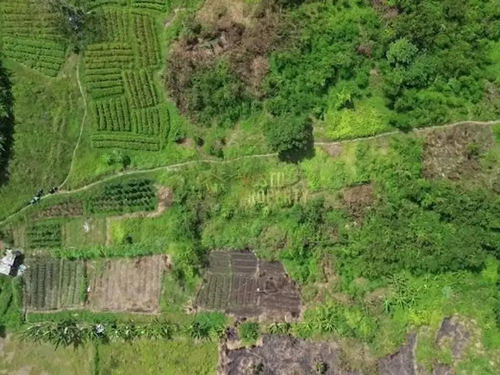 Tanah 26000 m2 di Jalur Ramai Dekat Bali Safari