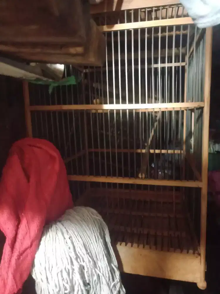 Kandang Kotak No.1