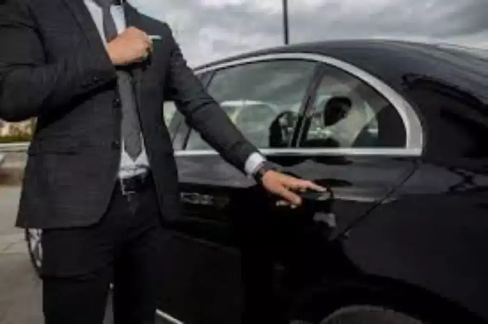 driver/sopir pribadi