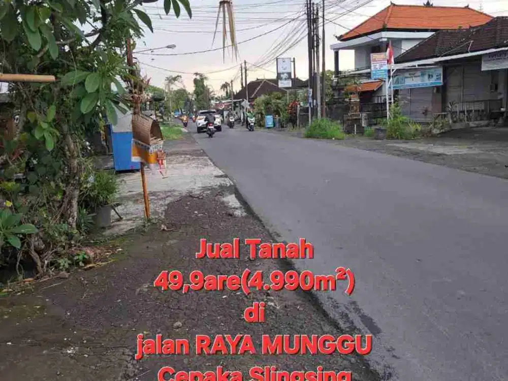 Jual Tanah 49,9are di jln RAYA MUNGGU Cepaka Slingsing, dkt Tumbak bayuh, pererenan Bali - Thumbnail 5