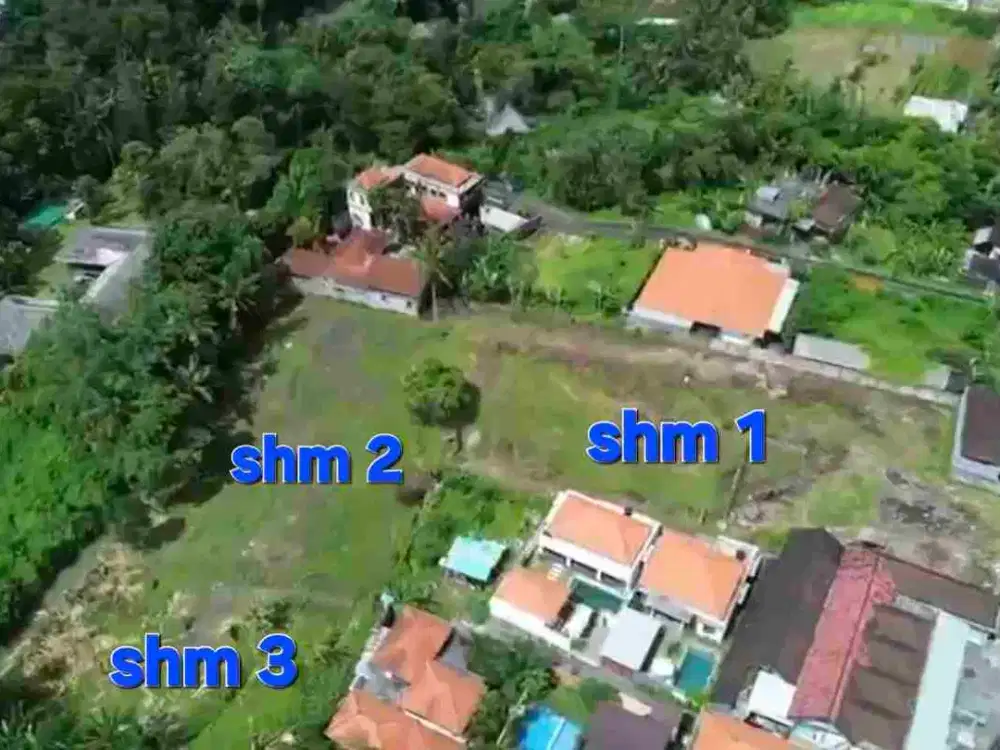 Jual Tanah 49,9are di jln RAYA MUNGGU Cepaka Slingsing, dkt Tumbak bayuh, pererenan Bali