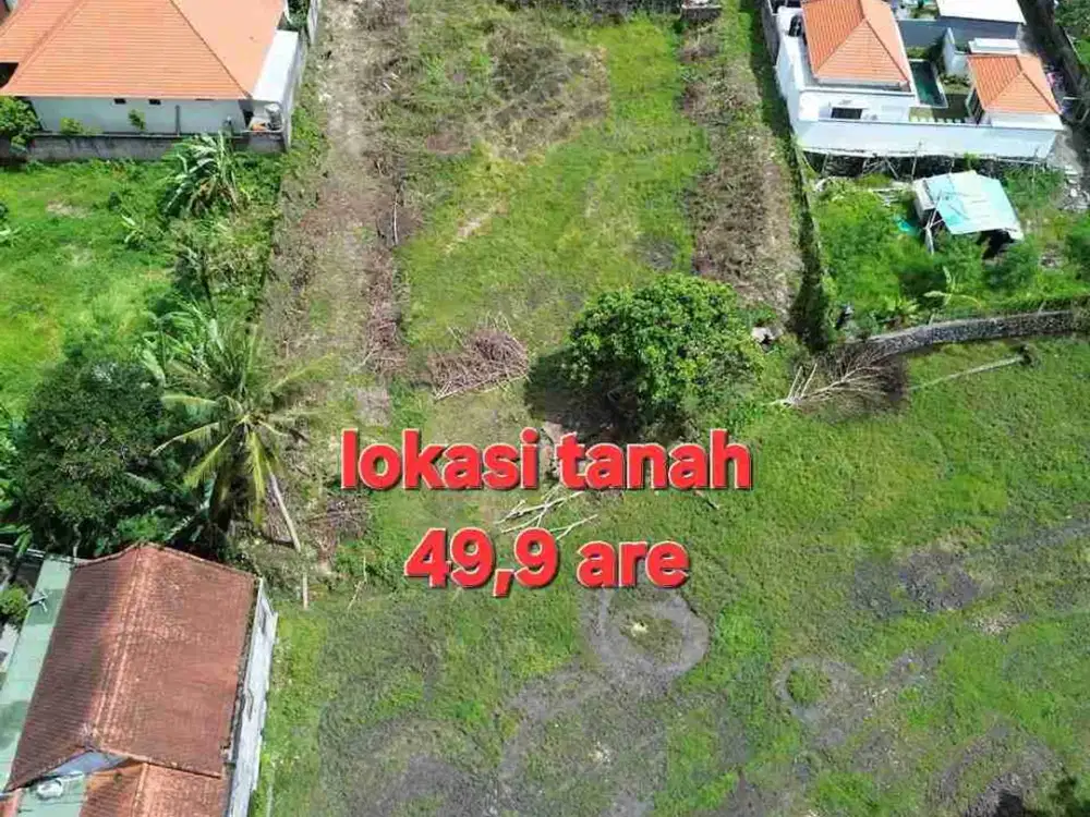 Jual Tanah 49,9are di jln RAYA MUNGGU Cepaka Slingsing, dkt Tumbak bayuh, pererenan Bali - Thumbnail 6
