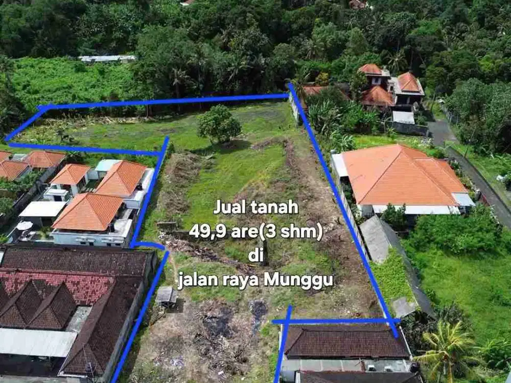 Jual Tanah 49,9are di jln RAYA MUNGGU Cepaka Slingsing, dkt Tumbak bayuh, pererenan Bali - Thumbnail 7