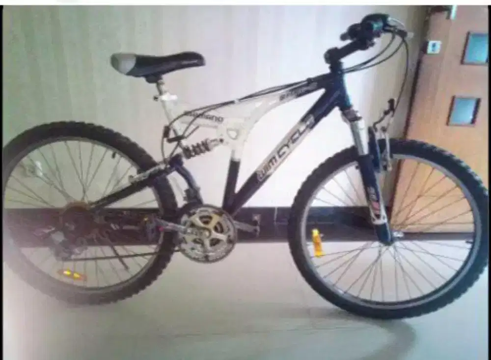 Sepeda Wincycle
