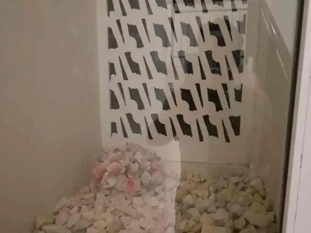 *Dijual* 

Rumah Cluster Amanda lebar7,type Basic Harga Termurah

- Luas Tanah 112  (7x16)
- Luas Bangunan 97m
- 2 kamar tidur
- ⁠1 kamar mandi
- ⁠hadap utara

Harga Rp.1,95M Nego - Thumbnail 2