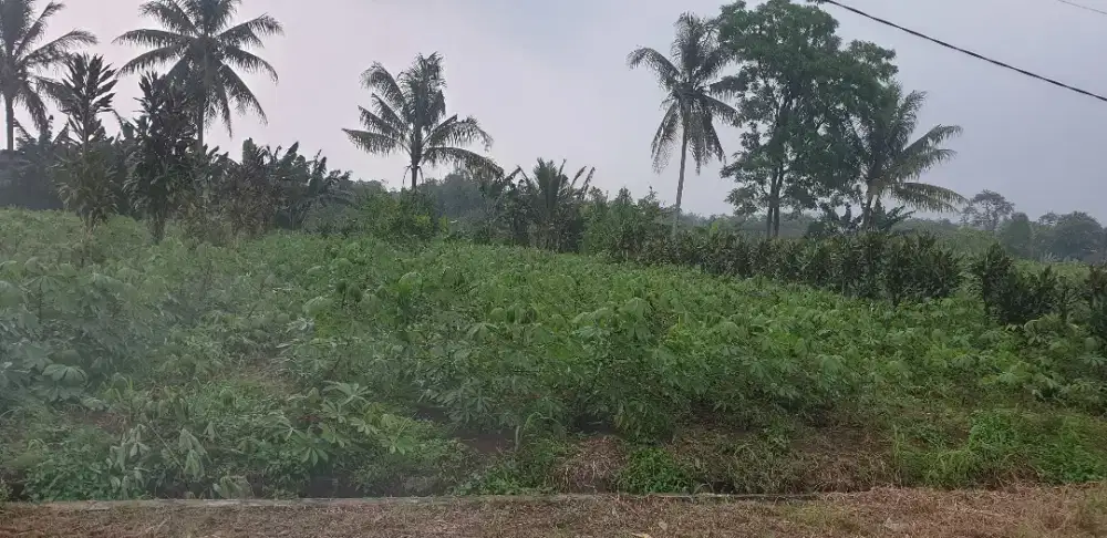 Tanah Luas 485 m² – Investasi Cerdas dan Harga Bersahabat!