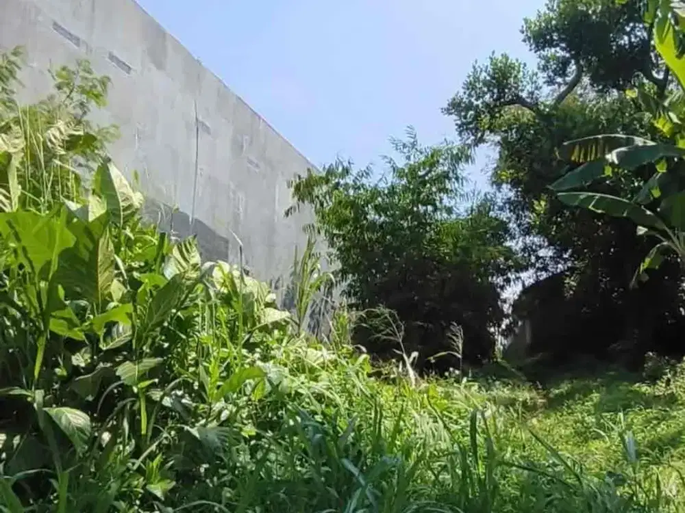 DIJUAL 

TANAH MURAH & STRATEGIS JATINANGOR UNTUK DIBANGUN KOSAN, HARGA DIBAWAH PASAR

