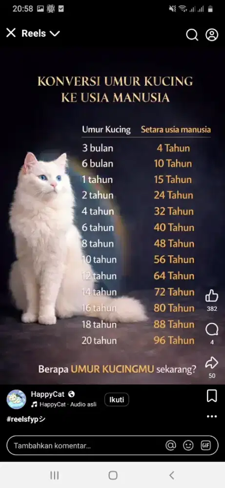 Cari pekerjaan art yang pp