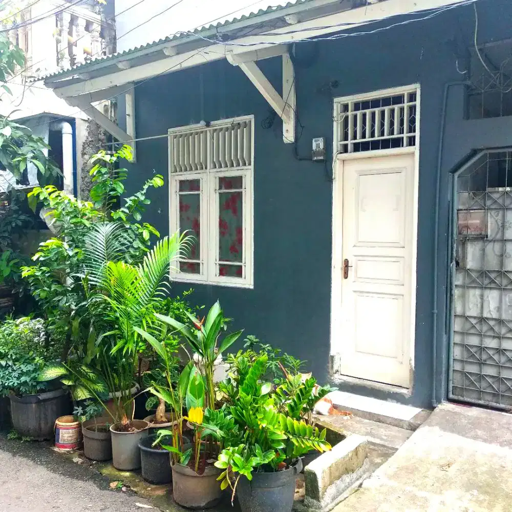 DIKONTRAKKAN Rumah Paviliun