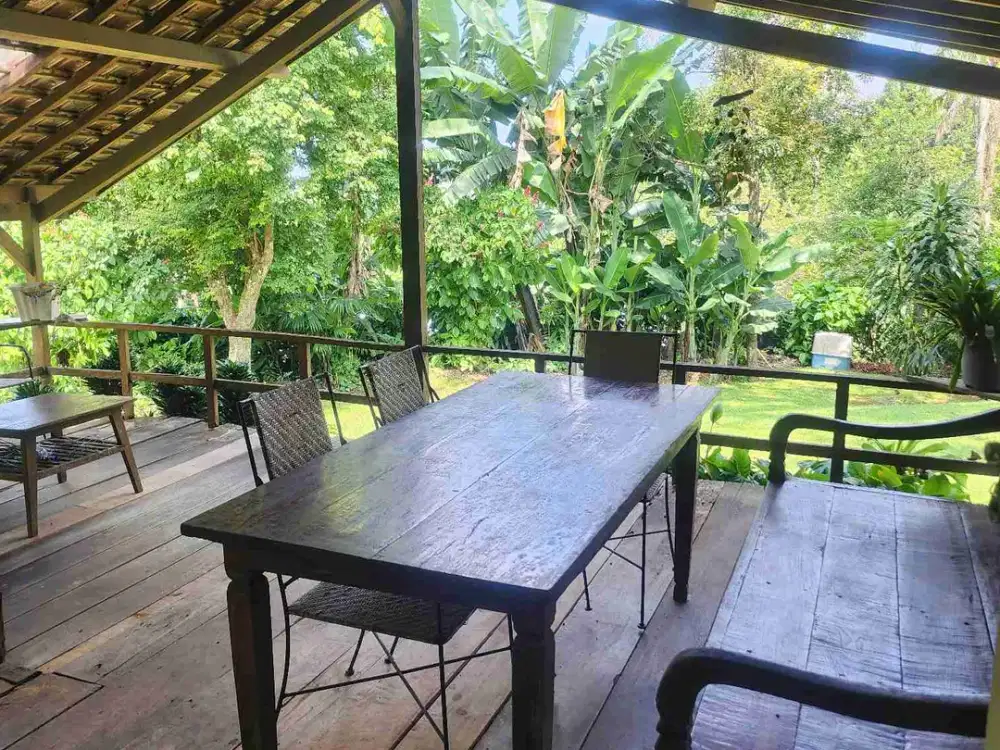 DIJUAL RUMAH NYAMAN DAN HALAMAN LUAS