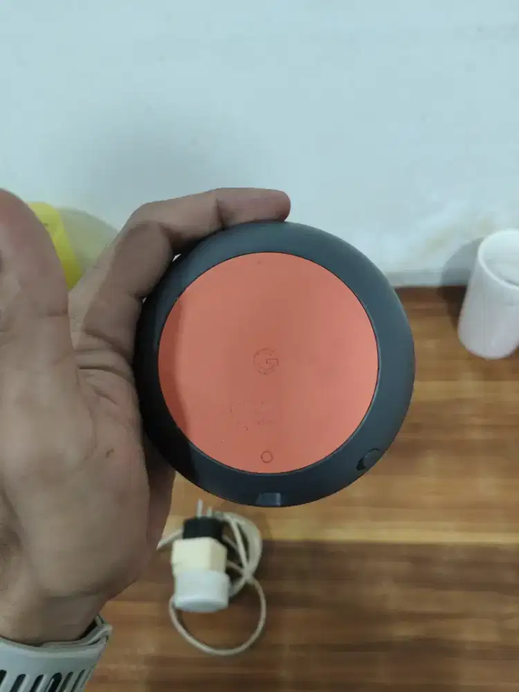 Google nest/home mini