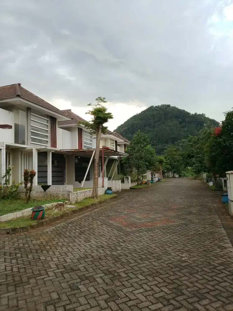 Disewakan rumah mewa murah