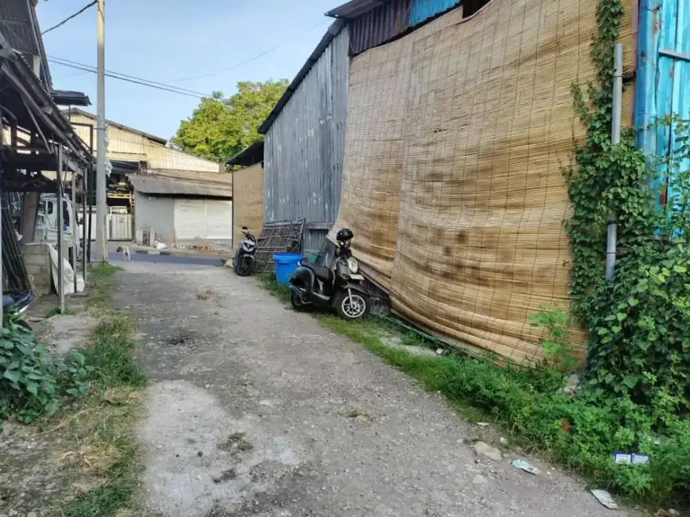 DISEWAKAN TANAH KESAMBI KEROBOKAN ITR KUNING
