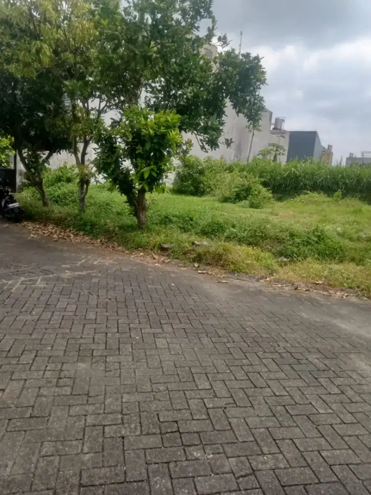 Tanah Perumahan Araya Pbi Dijual Dibawah Pasaran