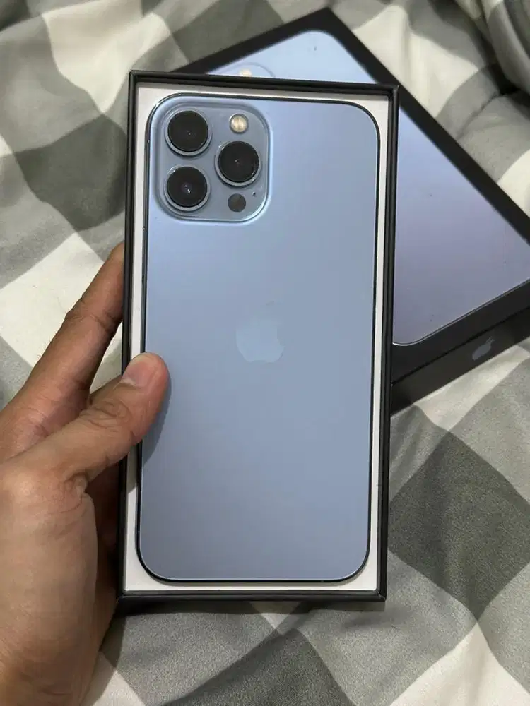 iPhone 13 Pro Max 256 Gb