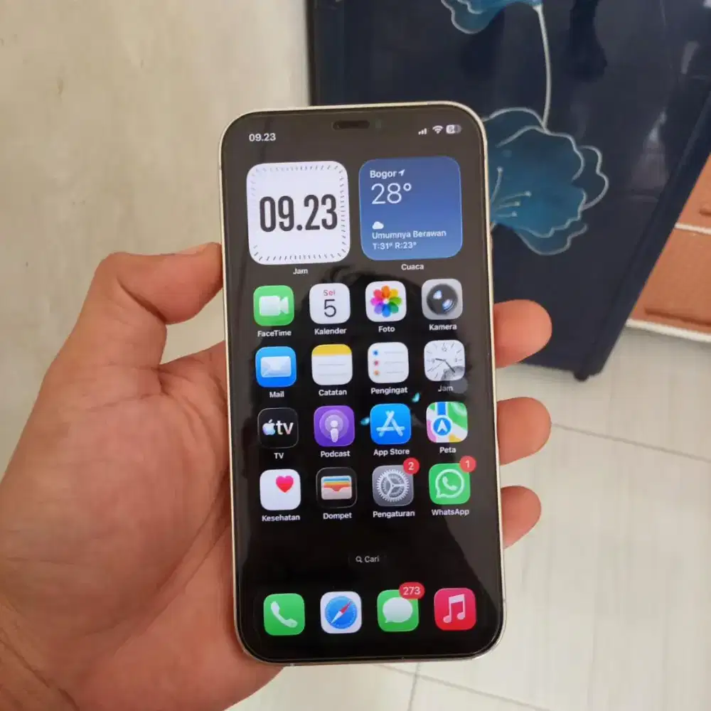 iPhone 12 pro 128 Inter
