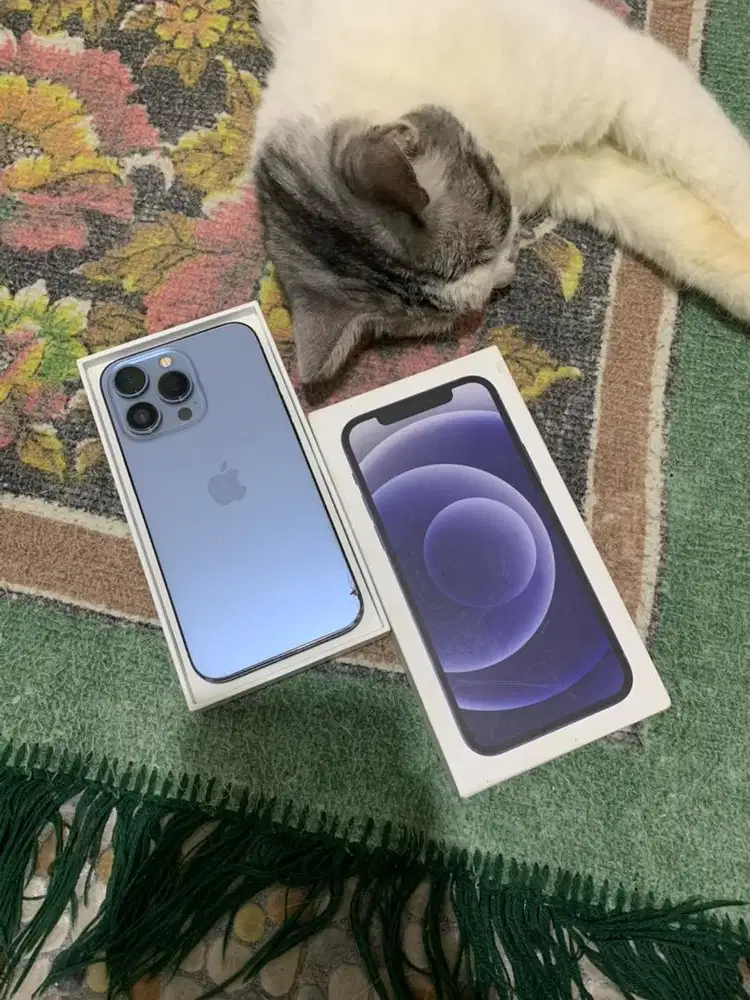 iphone 13 pro 256gb allop depok